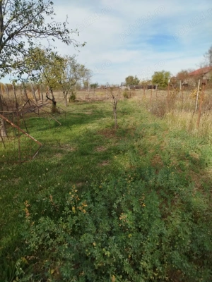 Teren Intravilan Poienarii Rali Prahova 700mp - imagine 2