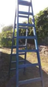 Vind scara din lemn de brad