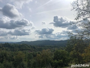 Teren de vanzare în Cicanesti-Curtea de Arges - imagine 3