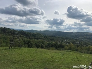 Teren de vanzare în Cicanesti-Curtea de Arges - imagine 4