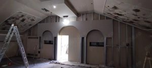 Rigipsar cu experiență 