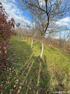 Casa in Aciliu - imagine 5