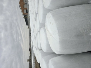 Siloz porumb de calitate 