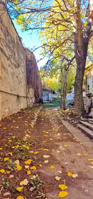 Vanzare Teren + Construcții Demolabile   Ultracentral, Pitesti   ARM. CĂLINESCU 30 - imagine 7