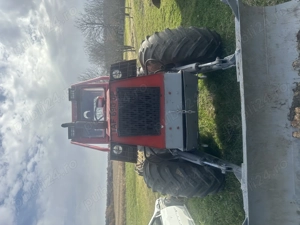 Taf Forestier 657 - imagine 2