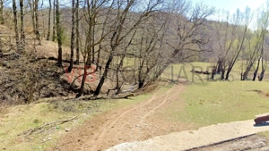 Teren de vanzare in Breaza Nistoresti Str Muresului - imagine 3