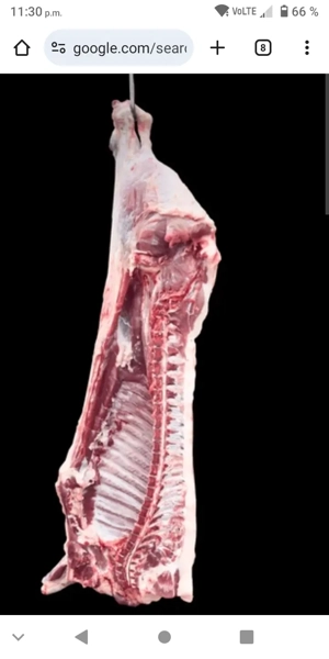 vand carcasa de vita