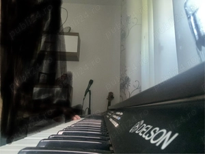 Vand pianina Delson,stare foarte buna