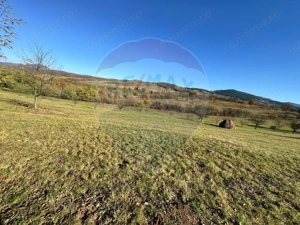 Teren 5,325mp Rona de Jos / Soseaua Prinncipala - imagine 5