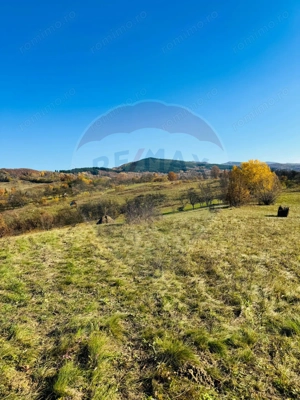 Teren 5,325mp Rona de Jos / Soseaua Prinncipala - imagine 3