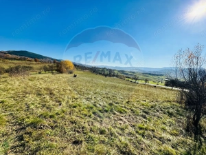 Teren 5,325mp Rona de Jos / Soseaua Prinncipala - imagine 4