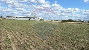 Teren 1 503 mp de vânzare, Nojorid , Soseaua DN79 - imagine 4