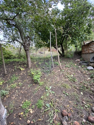 Casa 4 camere, Atel - imagine 10