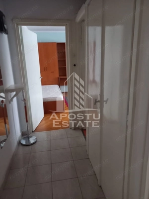 Apartament cu 1 cameră , spațios , Iosefin - imagine 3