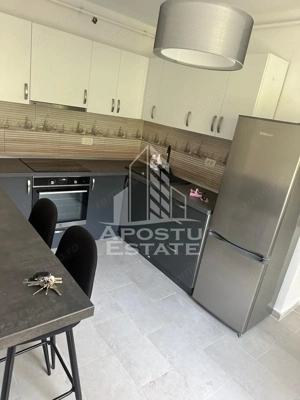 Doua apartamente la curte comuna , zona Iosefin - imagine 5