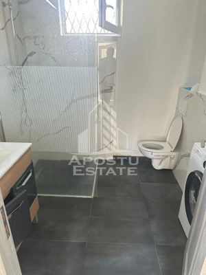 Doua apartamente la curte comuna , zona Iosefin - imagine 7