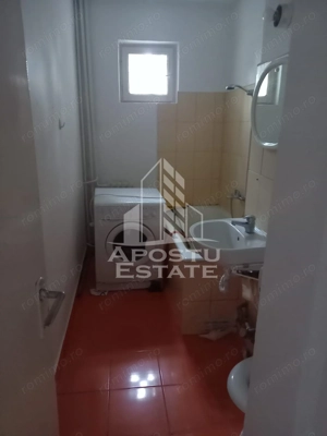 Apartament cu 1 cameră , spațios , Iosefin - imagine 5