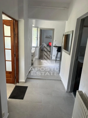 Doua apartamente la curte comuna , zona Iosefin - imagine 8