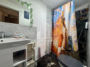 Doua apartamente la curte comuna , zona Iosefin - imagine 12