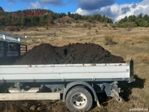 gunoi de grajd, mranita