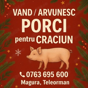 Vând   arvunesc porci pentru Crăciun