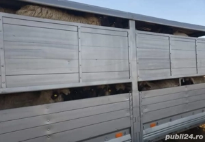 Transpot  oi   - imagine 4