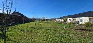 Teren de vanzare, Albesti, Sighisoara - imagine 5