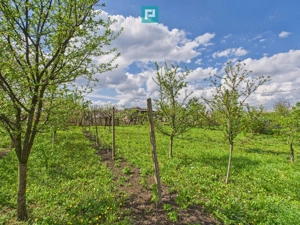 Casă individuală la Beregsău Mare, 1590 mp teren - imagine 25