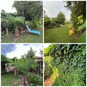 Oradea, casa de vanzare zona centrala cu vad comercial sau pentru locuit - imagine 5