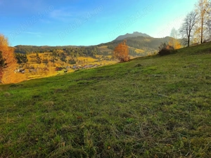 Vând teren in comuna Ceahlău  - imagine 2