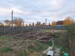 Teren intravilan Pecica