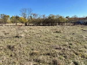 Teren de vanzare in Sat Dragsina la 20 de min de Timisoara, 680mp, direct de la proprietar!!! - imagine 3