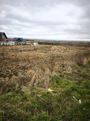 Teren intravilan, 5000mp, Siret - imagine 3