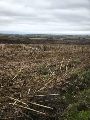 Teren intravilan, 5000mp, Siret