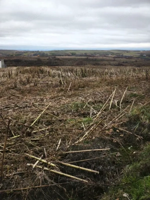 Teren intravilan, 5000mp, Siret - imagine 4