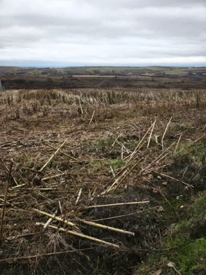 Teren intravilan, 5000mp, Siret - imagine 2