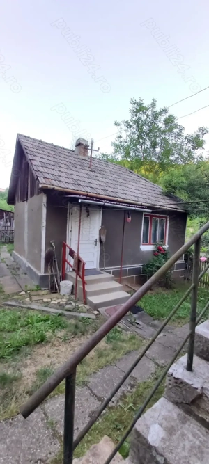 Vand Casa in Zlatna - imagine 4