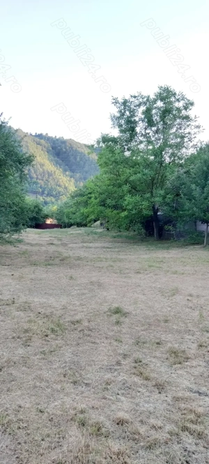 Vand Casa in Zlatna - imagine 5