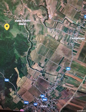 Padure 1,25ha  - imagine 3
