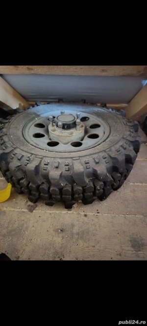 roti in stare excelenta 