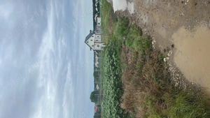 Vanzare teren casa la padure Moara Vlasiei