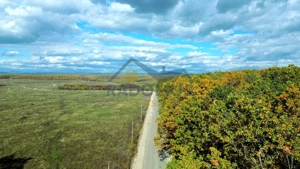 TEREN INTRAVILAN ÎN PĂDURE LA VĂRBILA - PRAHOVA – COMISION 0%