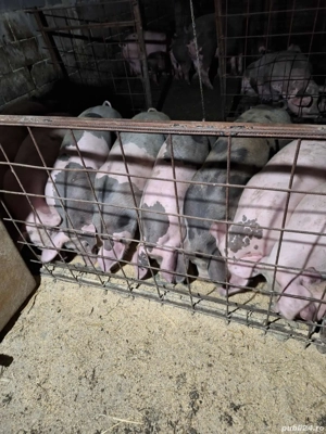 de vânzare ce se vede in poza  - imagine 4