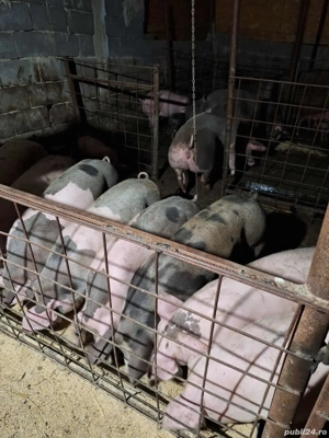 de vânzare ce se vede in poza  - imagine 2