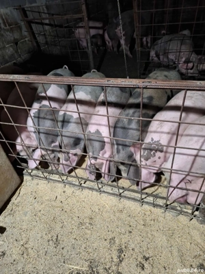 de vânzare ce se vede in poza 