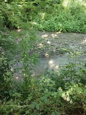 Casă cu potențial în Valea Lungă, Comuna Ilia   Hunedoara - imagine 9