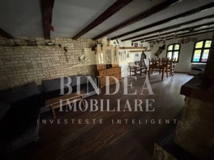 Oportunitate investitie: două reședințe de vacanță/ cabane 3940mp teren - imagine 3