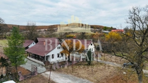Oportunitate investitie: două reședințe de vacanță/ cabane 3940mp teren - imagine 9