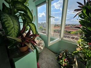 Renovat! Mobilat!. Zona semicentrala! - imagine 6