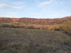 Teren de vânzare - imagine 3